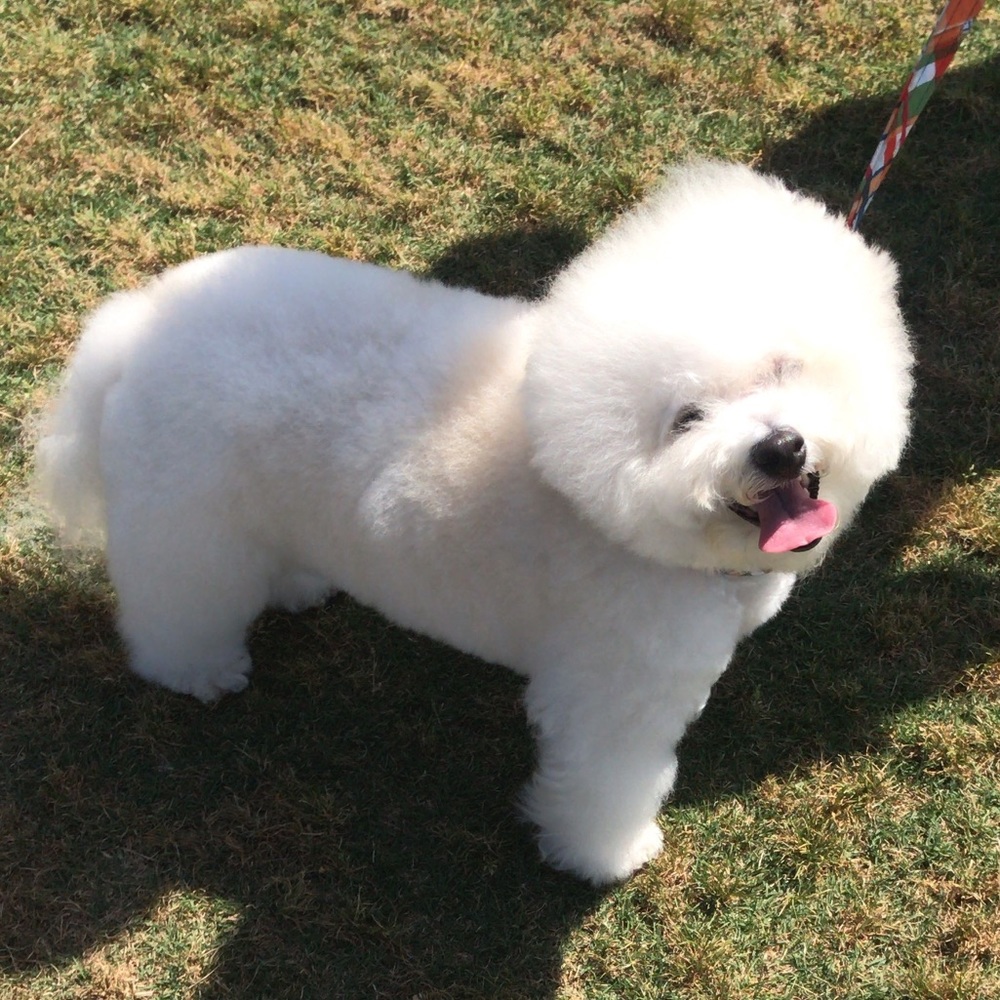 Meet your Posher, Kendall - Picture 2 of 5